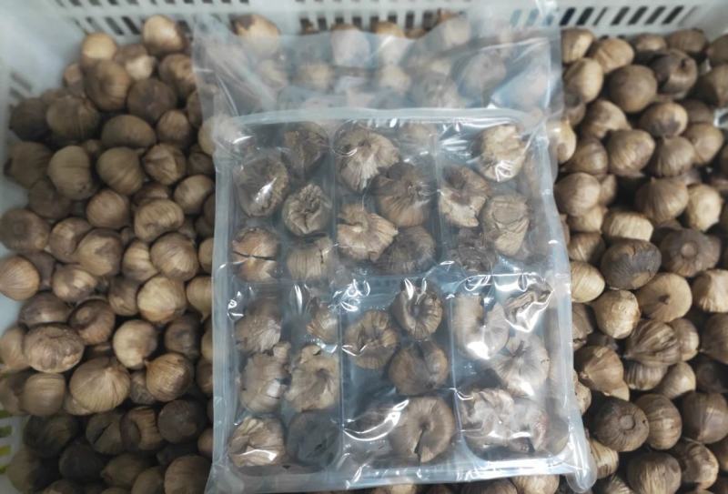 金乡黑蒜裂皮黑蒜厂家批发处理尾货活动价格