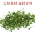 脱水蔬菜香菜干莚荽菜户外干货调味料方便面蔬菜包烘焙香料