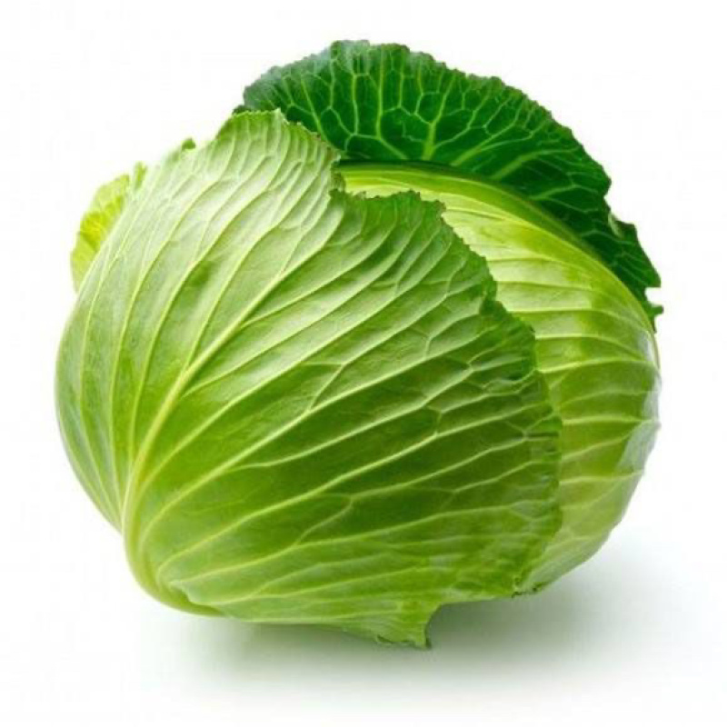【扁包菜】湖北天门精品扁包菜大量上市质量保证欢迎采购