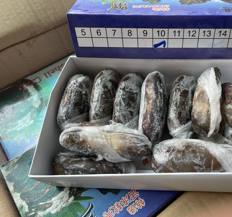 软壳蟹