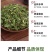脱水蔬菜香菜香菜干香菜粒芫荽干莚荽菜干香菜