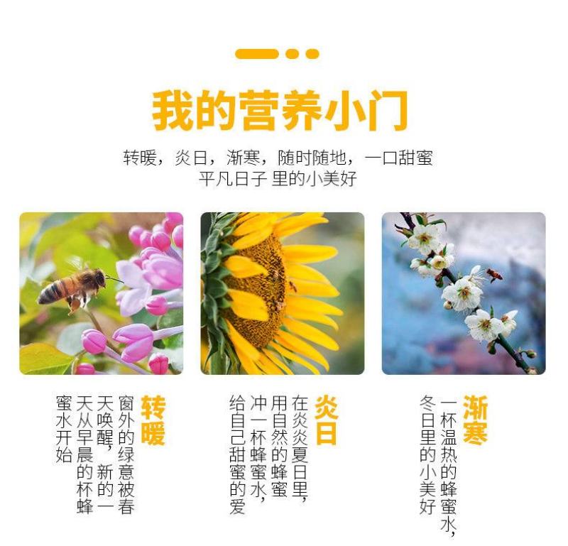 土蜂蜜山花蜜木桶蜂蜜中蜂蜂蜜结晶蜂蜜一瓶1斤
