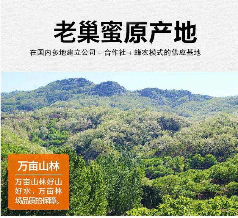土蜂蜜山花蜜木桶蜂蜜中蜂蜂蜜结晶蜂蜜一瓶1斤