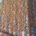 2023广东本地风流果干货中大果，泡酒料