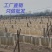山东省济宁市嘉祥县粉条生产基地，抽空红薯粉条，大量批发