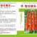 曼谷琬美单生朝天椒种子，大果型高辣，长度8～10公分