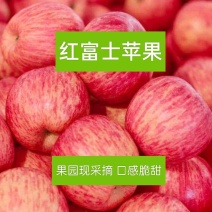 【红富士苹果】山东冰糖心苹果/山东富士苹果全红纸袋便宜