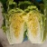 【白菜】青杂三号白菜，产地发货，量大从优，欢迎选购