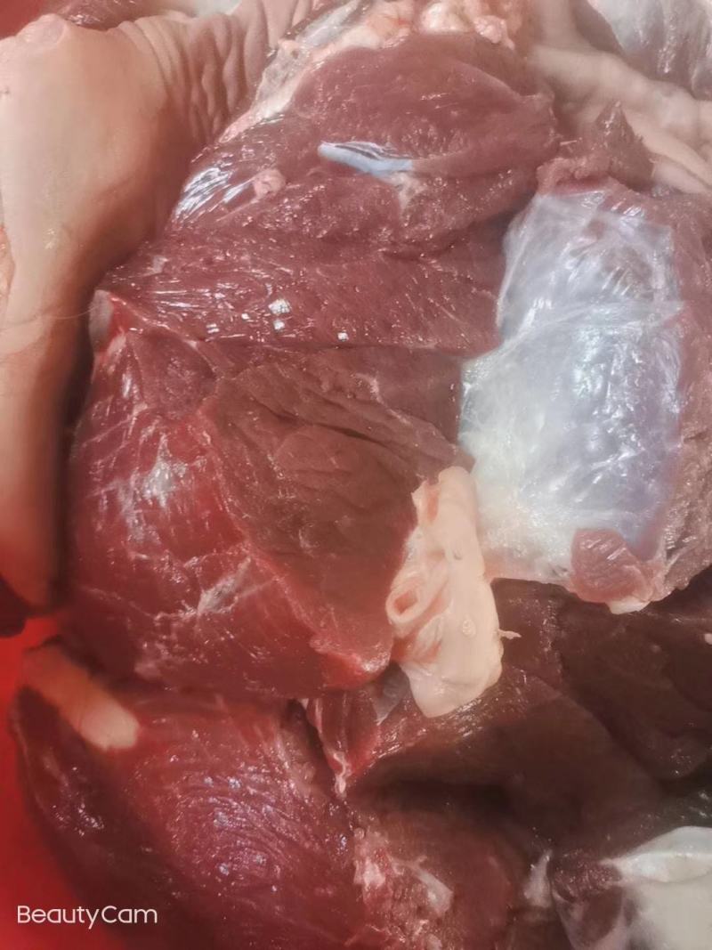 新鲜大量驴肉,驴副产品现杀现宰大量供应