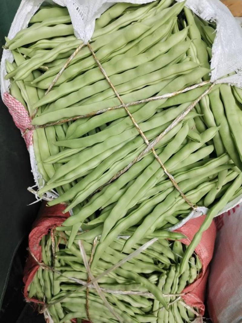 【牛商商家】云南四季豆，无筋豆，产地发货，量大从优