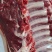 精品！驴排骨马排肉质鲜嫩大量批发现杀现杀