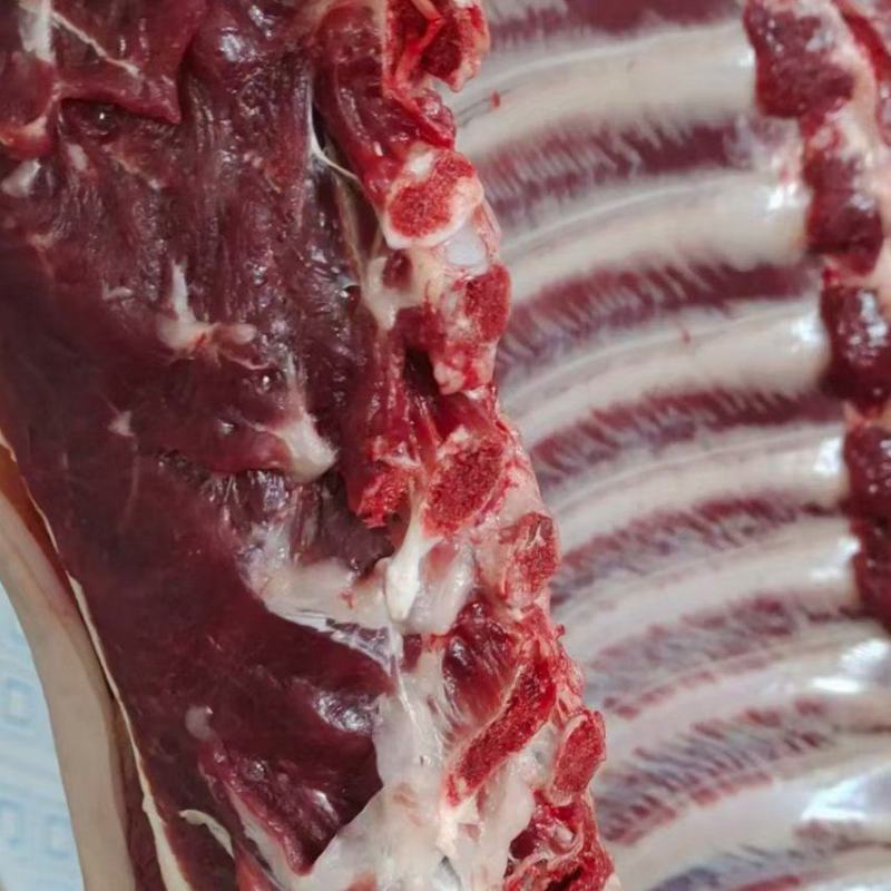 精品！驴排骨马排肉质鲜嫩大量批发现杀现杀