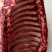 精品！驴排骨马排肉质鲜嫩大量批发现杀现杀