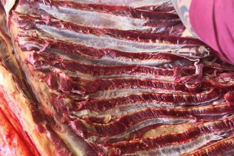 精品！驴排骨马排肉质鲜嫩大量批发现杀现杀