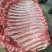 精品！驴排骨马排肉质鲜嫩大量批发现杀现杀