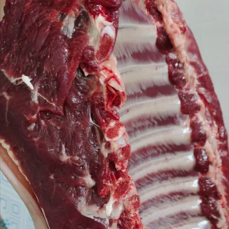 精品！驴排骨马排肉质鲜嫩大量批发现杀现杀