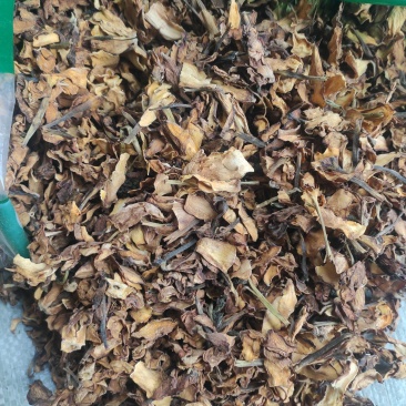 栀子花干货栀子花中药材欢迎选购！