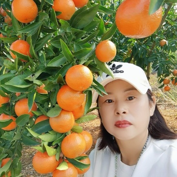 〈商家优选〉贡桔蜜橘南丰桔对接电商社区团购市场销售