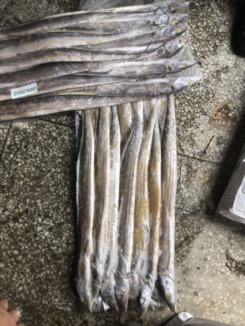 带鱼批发片冻带鱼
