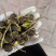 早茶种子绿茶红茶龙井铁观音乌鸟早大红袍茶树种子
