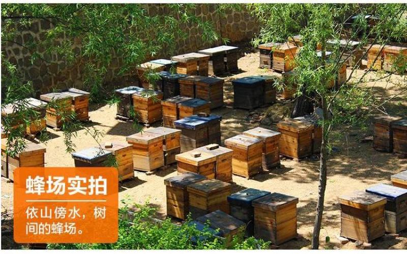 500克瓶装枣花蜜，蜜汁浓稠，口感好，一件起发