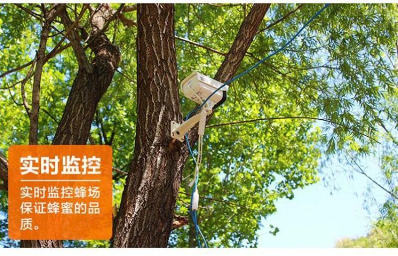 500克瓶装枣花蜜，蜜汁浓稠，口感好，一件起发