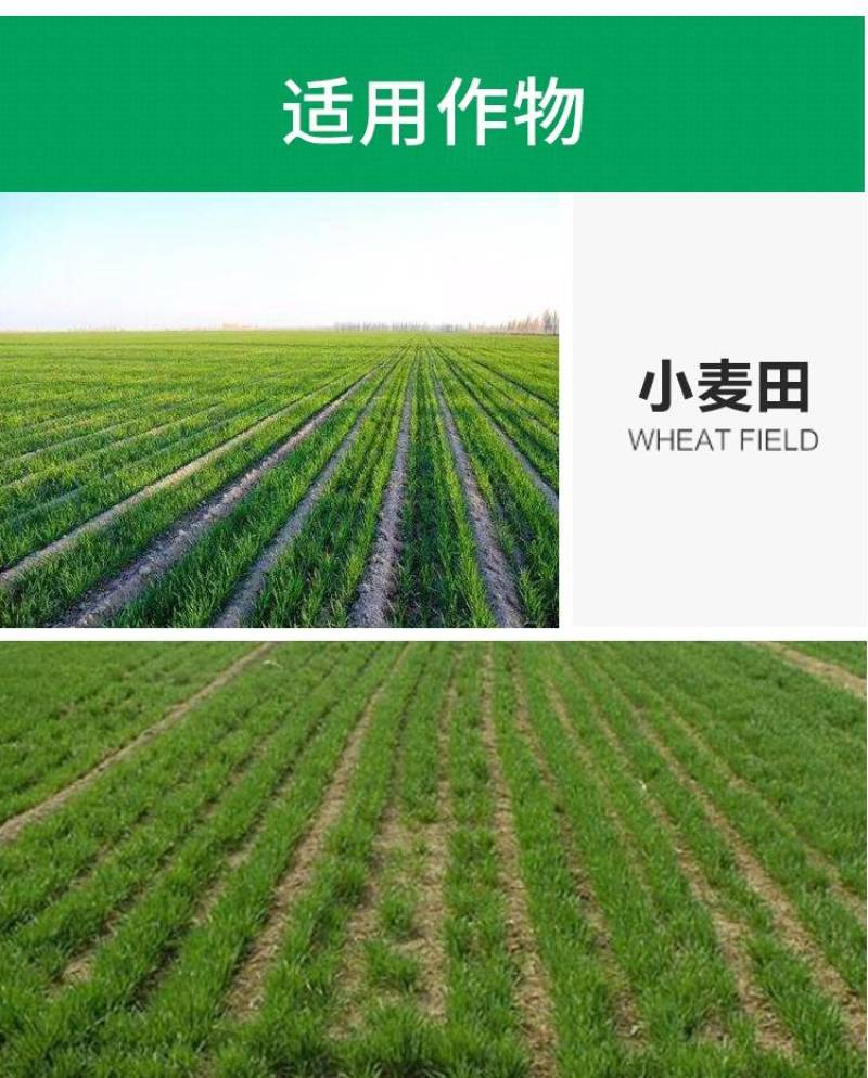 富美实百草飞55%苯·唑·2甲钠麦田草坪婆婆纳等阔叶杂草