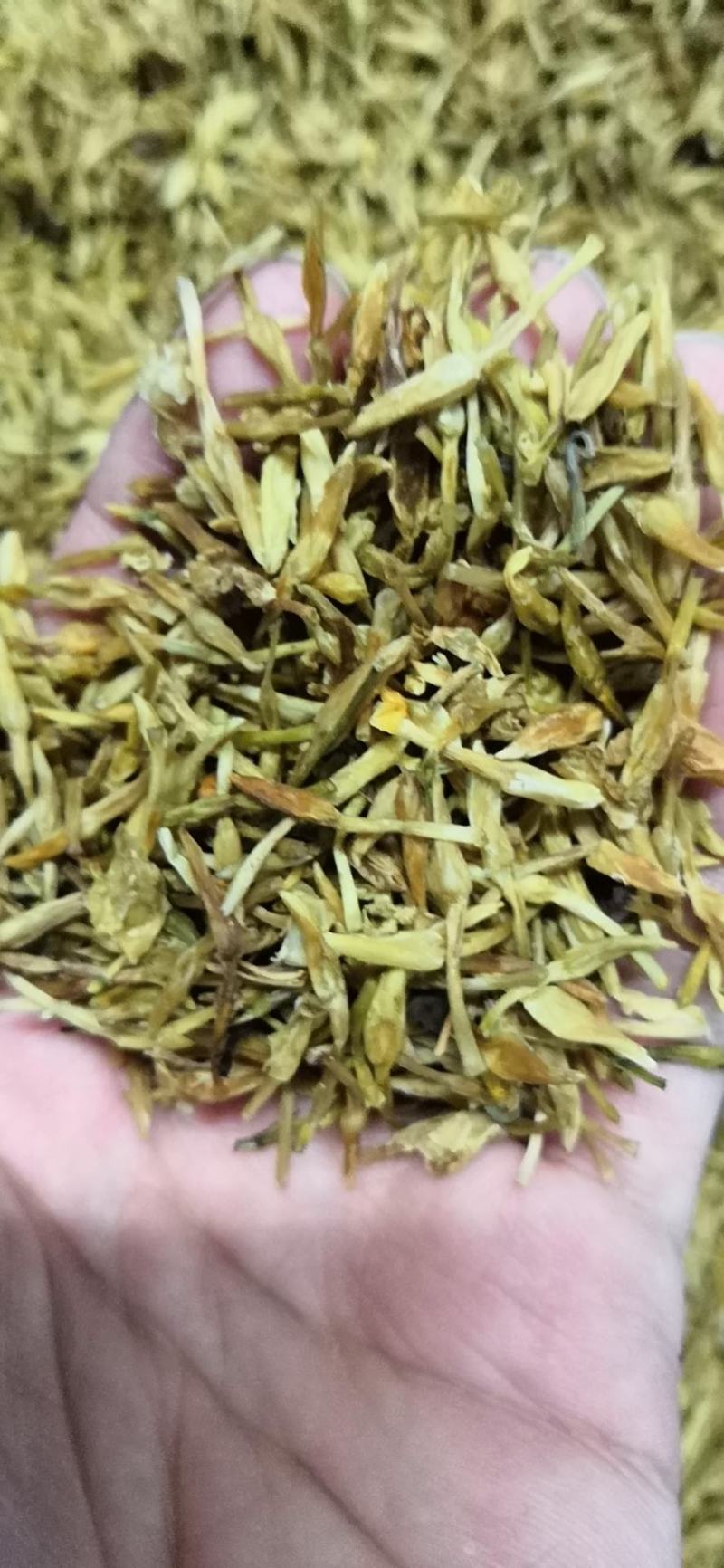 素馨花别名素馨珍100克一包新货颜色好干品500克包邮