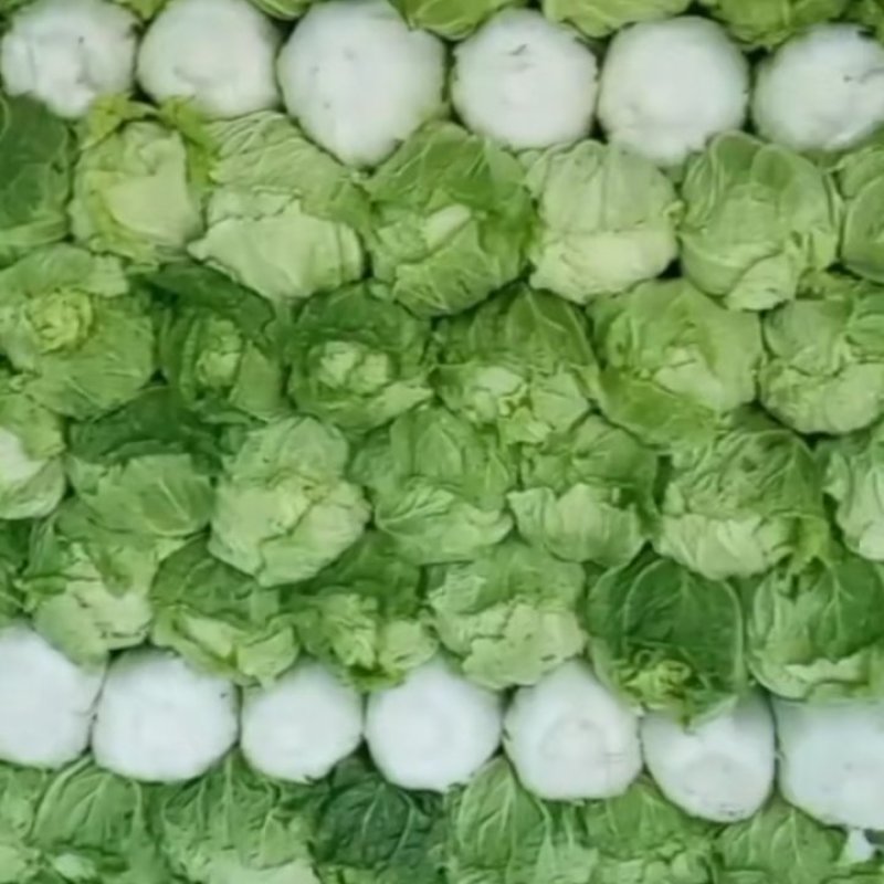 河北大白菜，北京新三号大白菜，产地直发，货源充足！