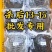 麻辣小甲鱼批发规格半斤到一斤半，量大从优，支持全国发货