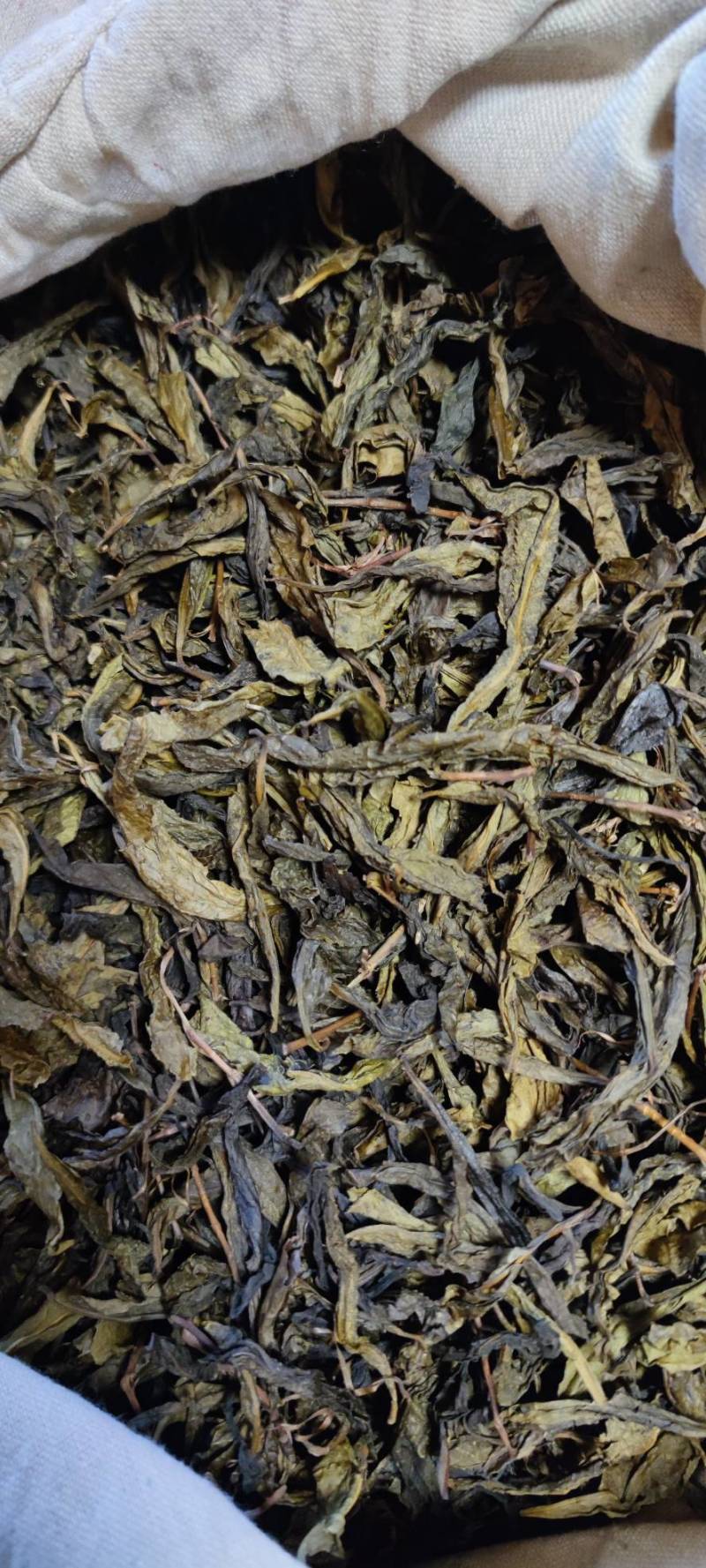 【诚信商家】黑茶毛茶，可加工成任意黑茶成品茶的半成品茶！