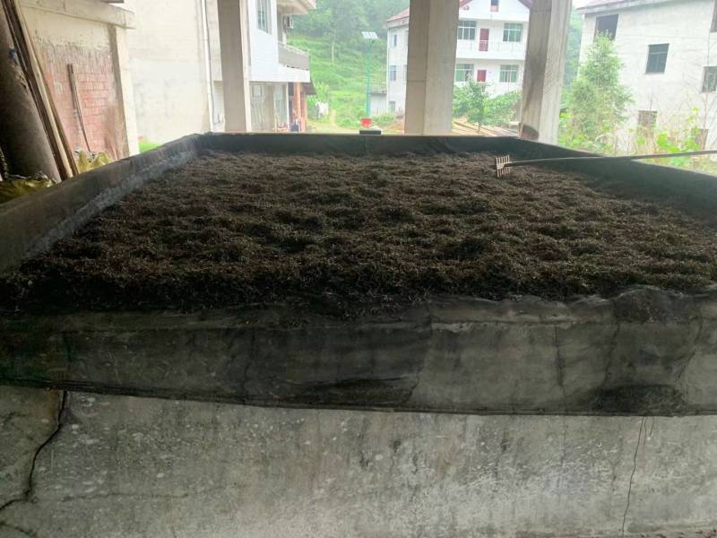【诚信商家】黑茶毛茶，可加工成任意黑茶成品茶的半成品茶！