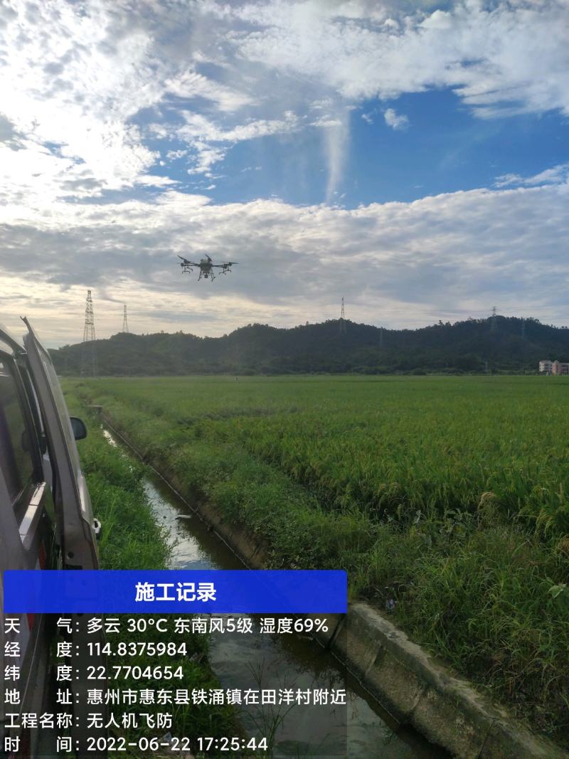 大疆科技专业飞防团队，可承接大型林场、农田、果园飞防业务