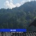 大疆科技专业飞防团队，可承接大型林场、农田、果园飞防业务