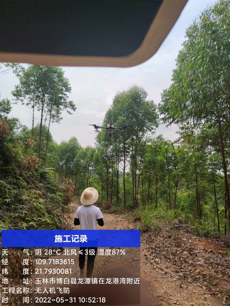 大疆科技专业飞防团队，可承接大型林场、农田、果园飞防业务