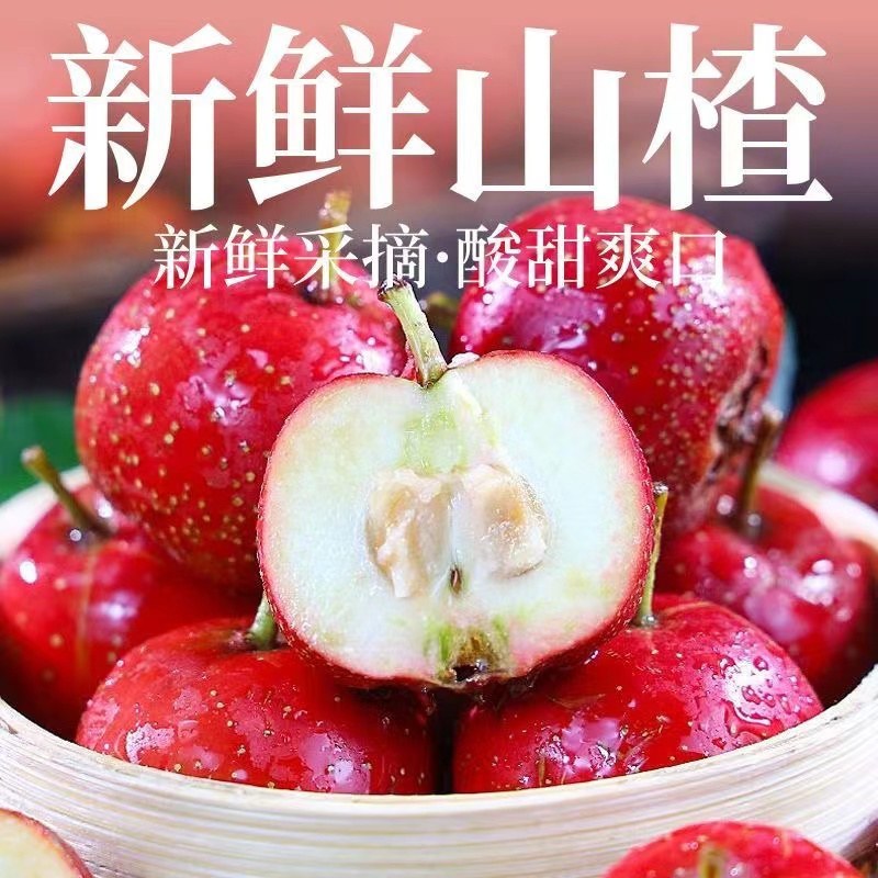 山东山楂品质保证欢迎联系接商超市场电商一手货源