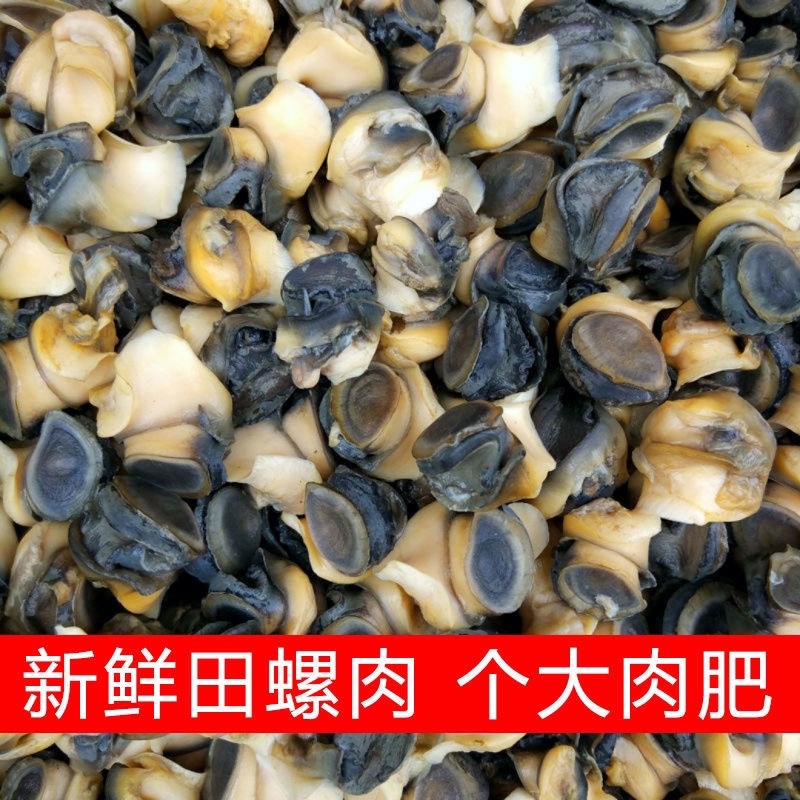 手工加工的新鲜田螺肉质量Q弹味道鲜美味美色香