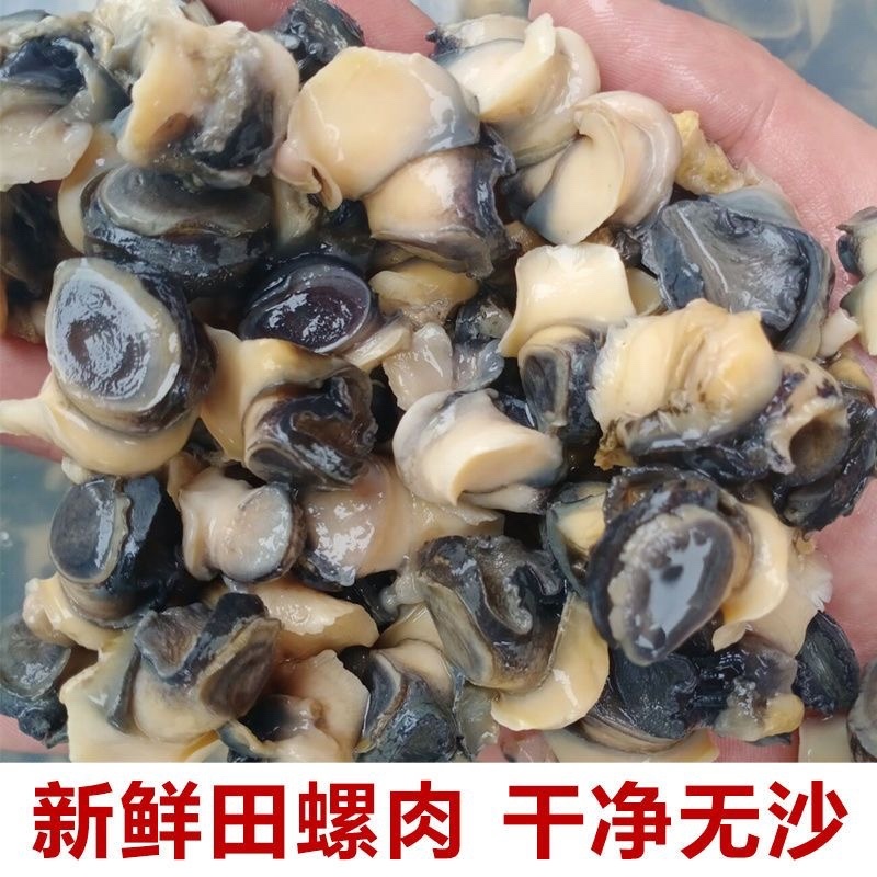 手工加工的新鲜田螺肉质量Q弹味道鲜美味美色香