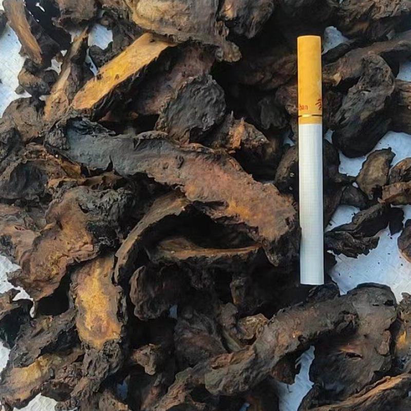长年供应干地黄，鲜地黄，保证质量和含量，价格优惠合作共赢