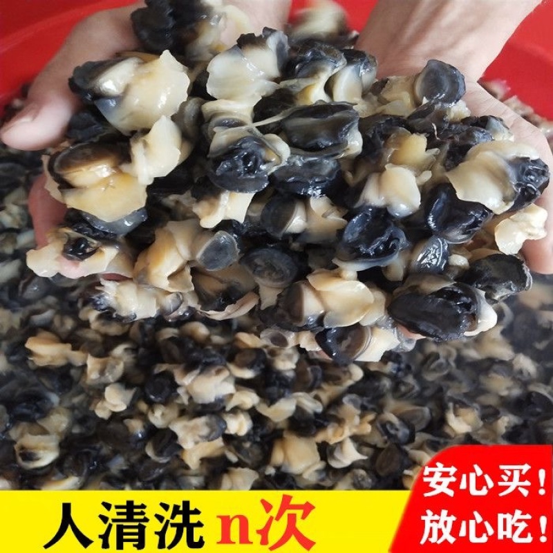 手工加工田螺肉新鲜Q弹质量优良大量批发价格优惠