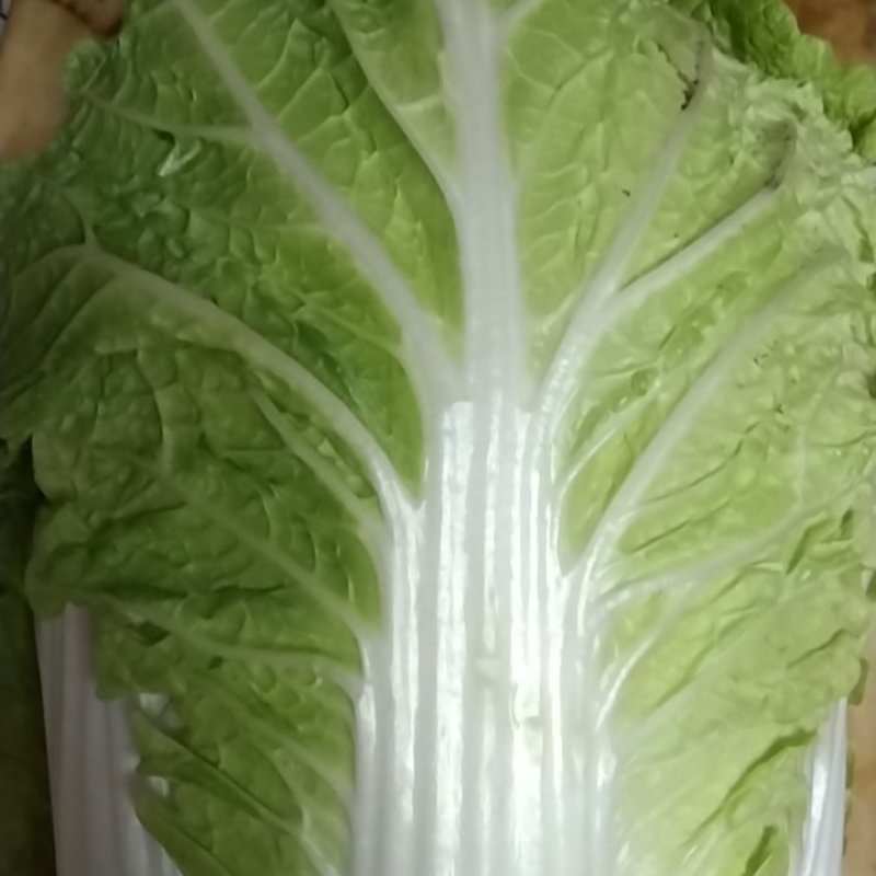 黄心大白菜，产地直发，货源充足！心足颗大，大量供货。