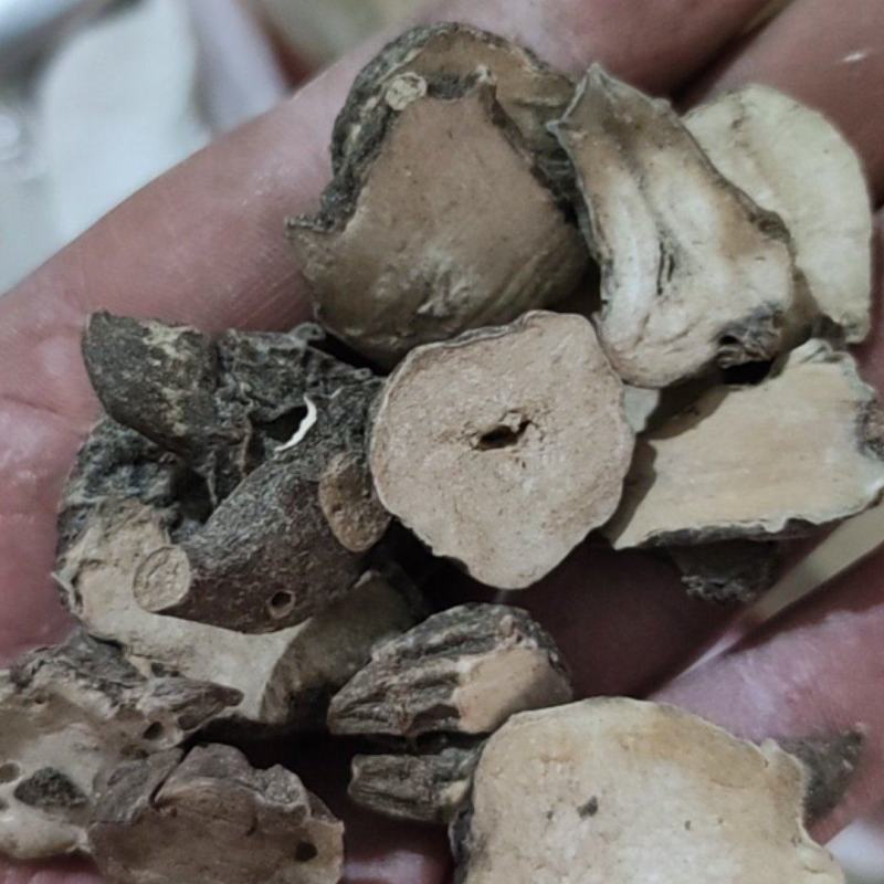 江油货陕西货炮制货清水货，欢迎下单，质量保证