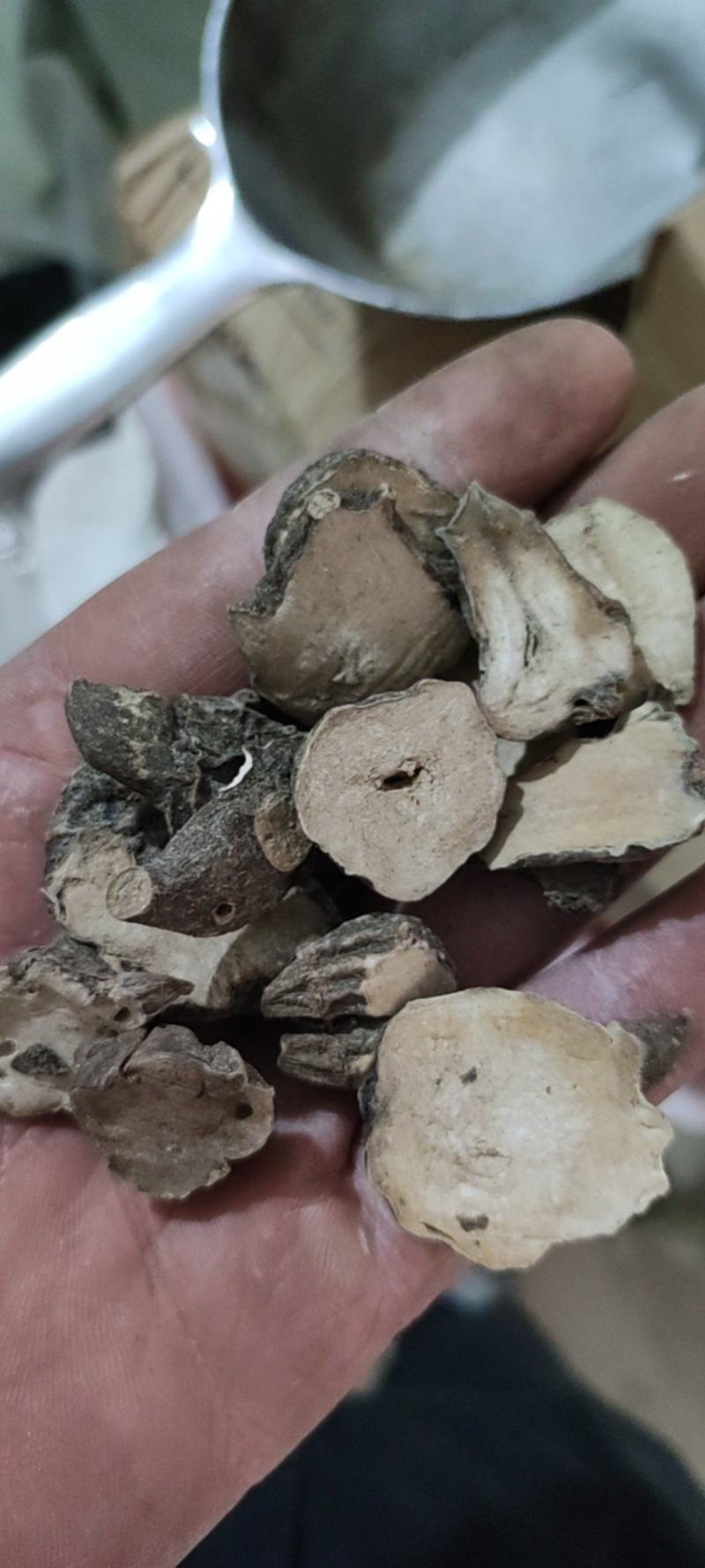 江油货陕西货炮制货清水货，欢迎下单，质量保证