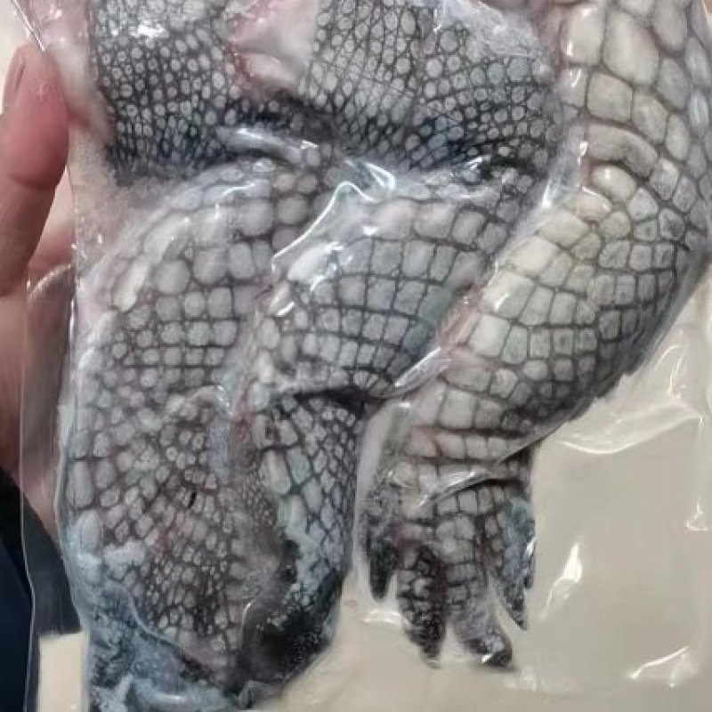 鳄鱼掌批发零售，量大从优，新鲜的当天宰杀当天发