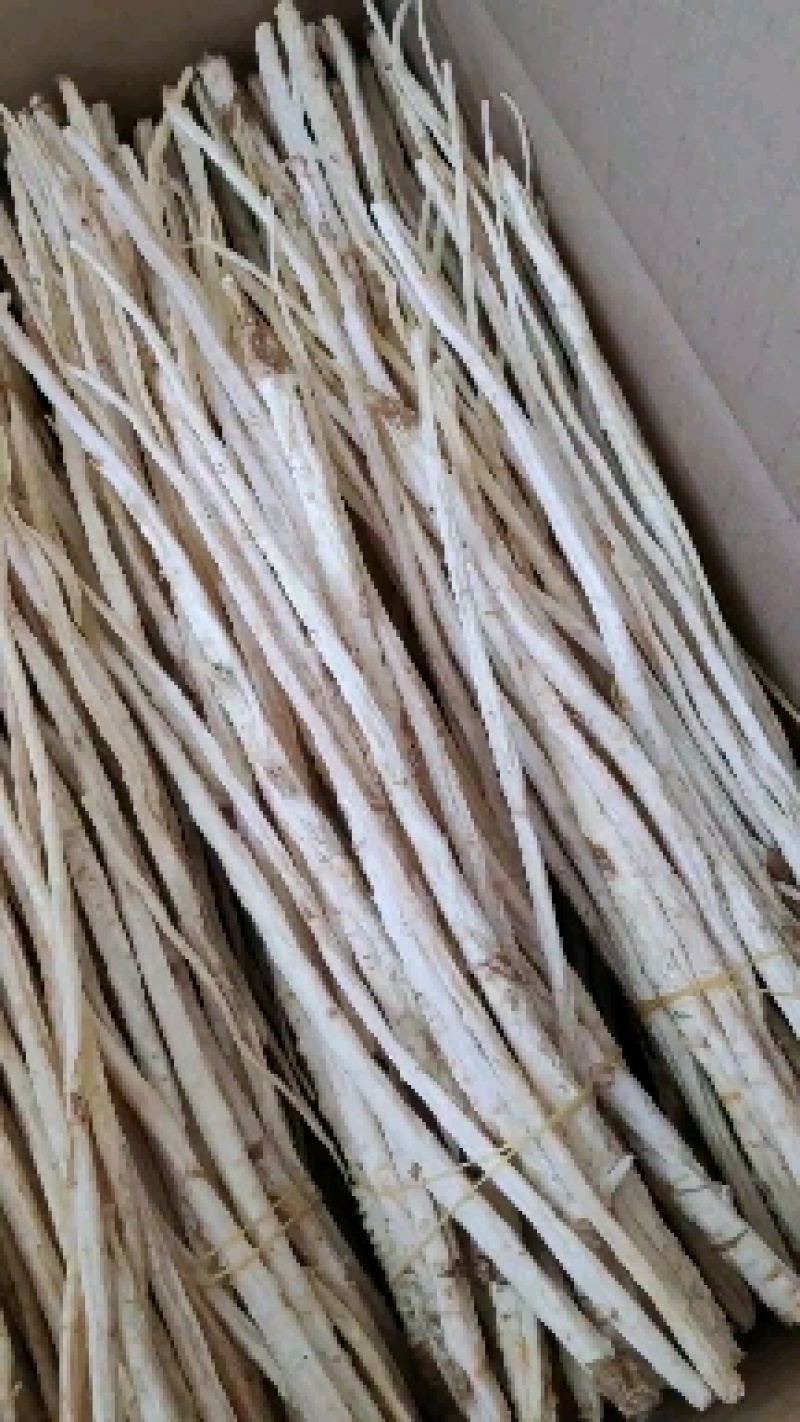 去头捆把无硫北沙参。中细自然白色，纯干买家放心吃了安心