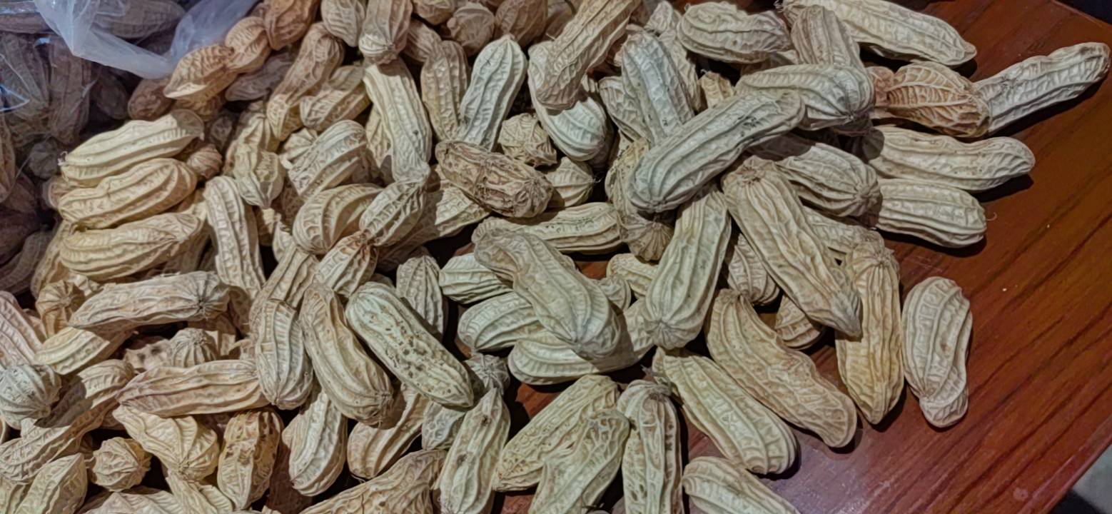 信息图表:X轴为食物名称(蓝莓干、葡萄干、芒果干、苹果干、无花果干),Y轴为PRAL值(mEq/100g),蓝莓干柱标为绿色(-1.4),其余均为橙色(+1.9至+3.2);图中插入小图标标注‘低糖工艺’‘高钾镁比’‘花青素保护’三个关键因子 蓝莓干与常见水果干PRAL值对比柱状图