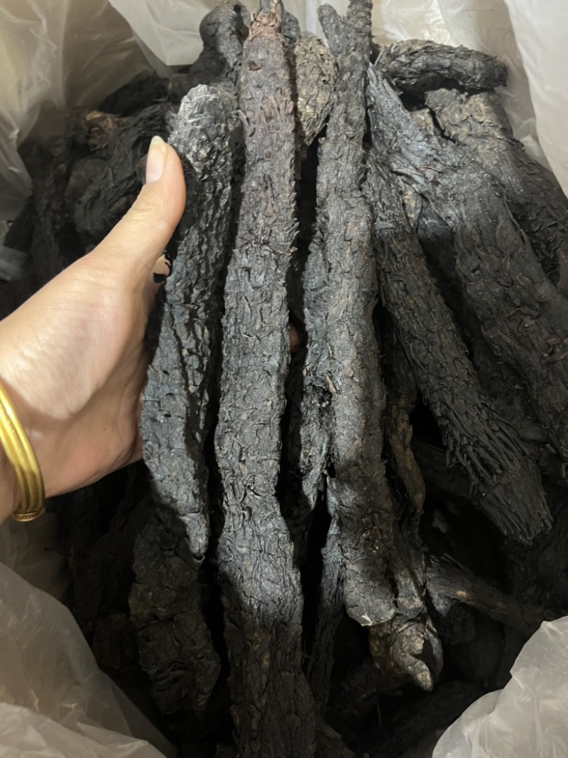 内蒙古阿拉善油肉苁蓉沙漠人参各种规格文斌药材批发