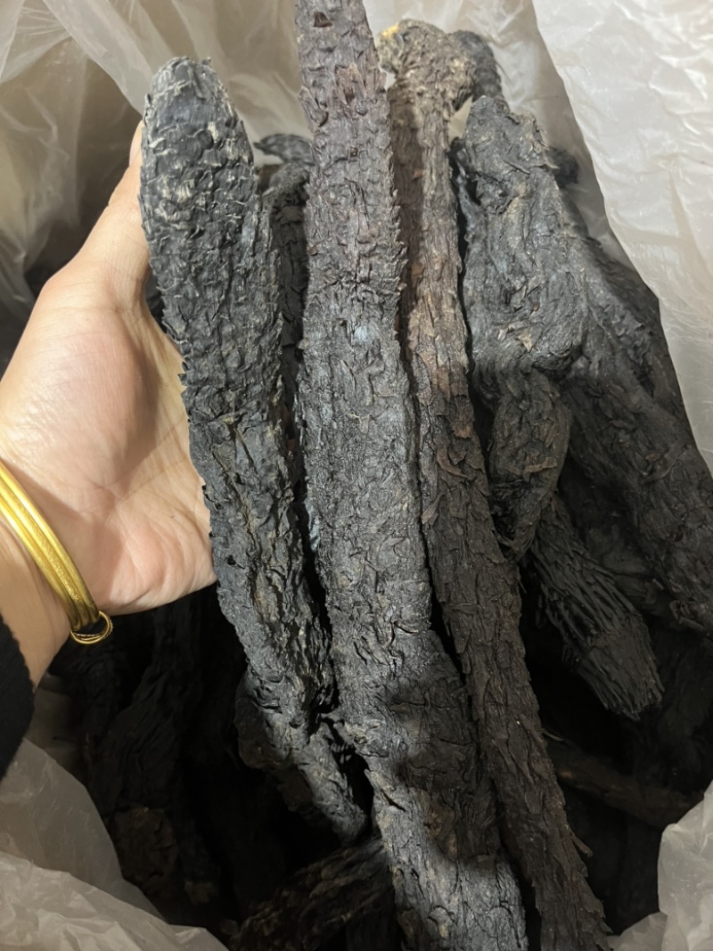 内蒙古阿拉善油肉苁蓉沙漠人参各种规格文斌药材批发
