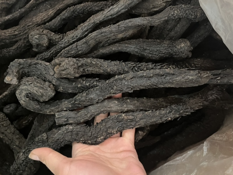 内蒙古阿拉善油肉苁蓉沙漠人参各种规格文斌药材批发