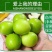 （包邮）牛奶大青枣云南超甜大枣新鲜现摘当季水果批发整箱